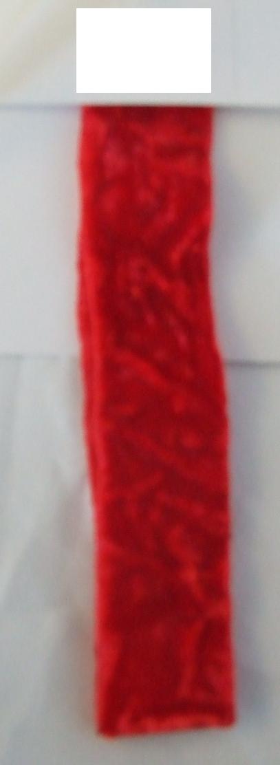 NARROW WOVEN FABRIC. A RED PILE RIBBON. WITH A REAL SELVEDGE. 24MM WIDE. 100% NYLON. PRESENTED AS PART OF A MIXED SET OF KNITTED AND WOVEN TRIMMINGS AND RIBBONS. ALL CLASSIFIED SEPARATELY.