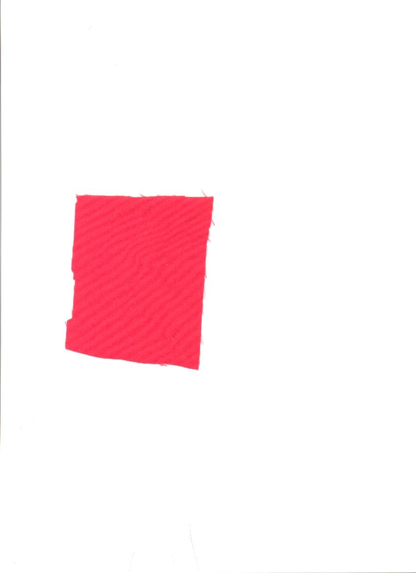 2 LAYER LAMINATED FABRIC. FACE: 100% POLYESTER WOVEN, DYED. COLOUR RED. COATED LAYER: EXPANDED POLYTETRAFLUOROETHYLENE (EPTFE). THE FABRIC WILL BE USED TO MAKE GARMENTS