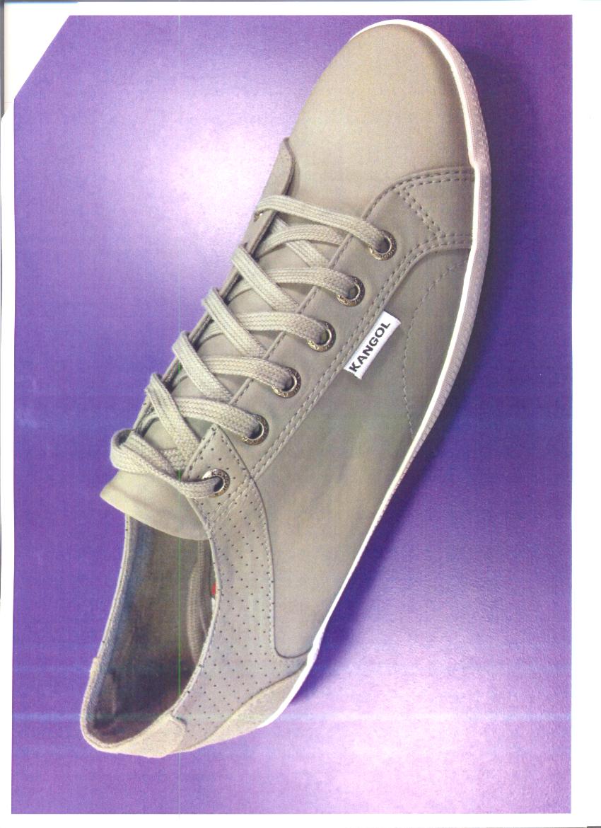 A MENS CASUAL SHOE. WITH UPPER OF PLASTIC. WITH RUBBER SOLE. NOT COVERING THE ANKLE. INSOLE LENGTH MORE THAN 24CMS. LACE UP. GREY IN COLOUR.