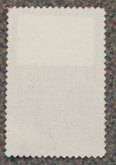 WOVEN PLAIN WEAVE COTTON FABRIC. DYED WHITE (BLEACHED). WEIGHT OF APROX 300 G/M2. WIDTH 140CM.