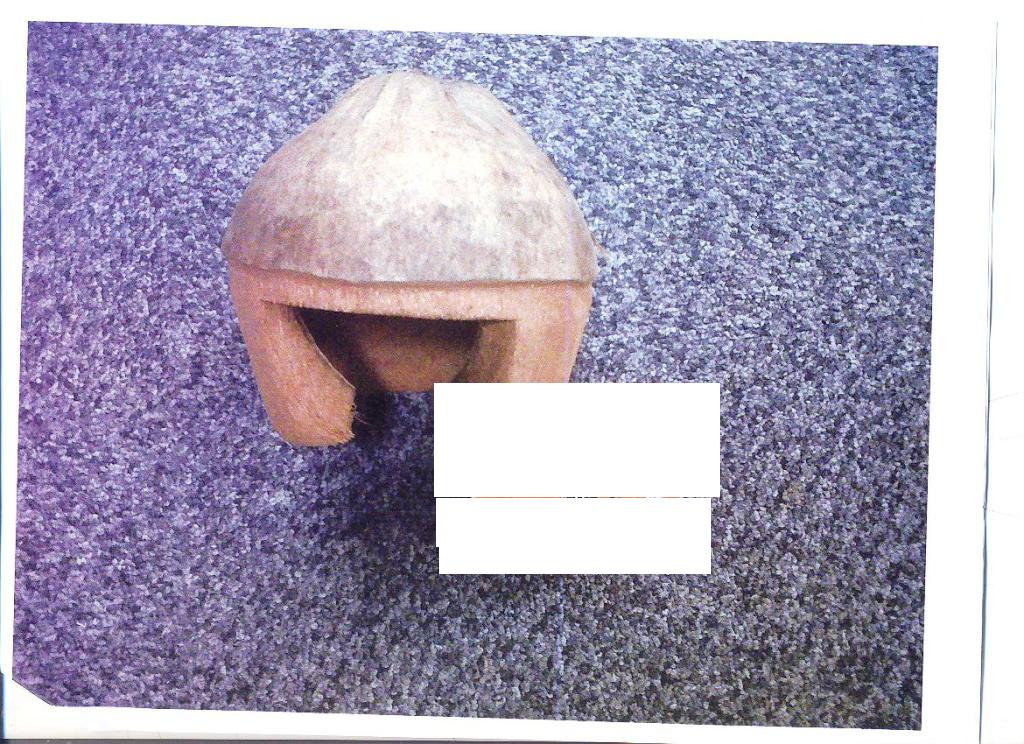 CARVED HALF COCONUT INCLUDING HUSK, ITEM HAS A DOORWAY FOR USE BY A SMALL PET. DIMENSIONS: APPROXIMATELY 13CM DIAMETER AND 14CM IN HEIGHT.