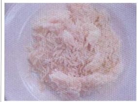 PLAIN COOKED RICE. PACKAGED IN 160G POUCH.