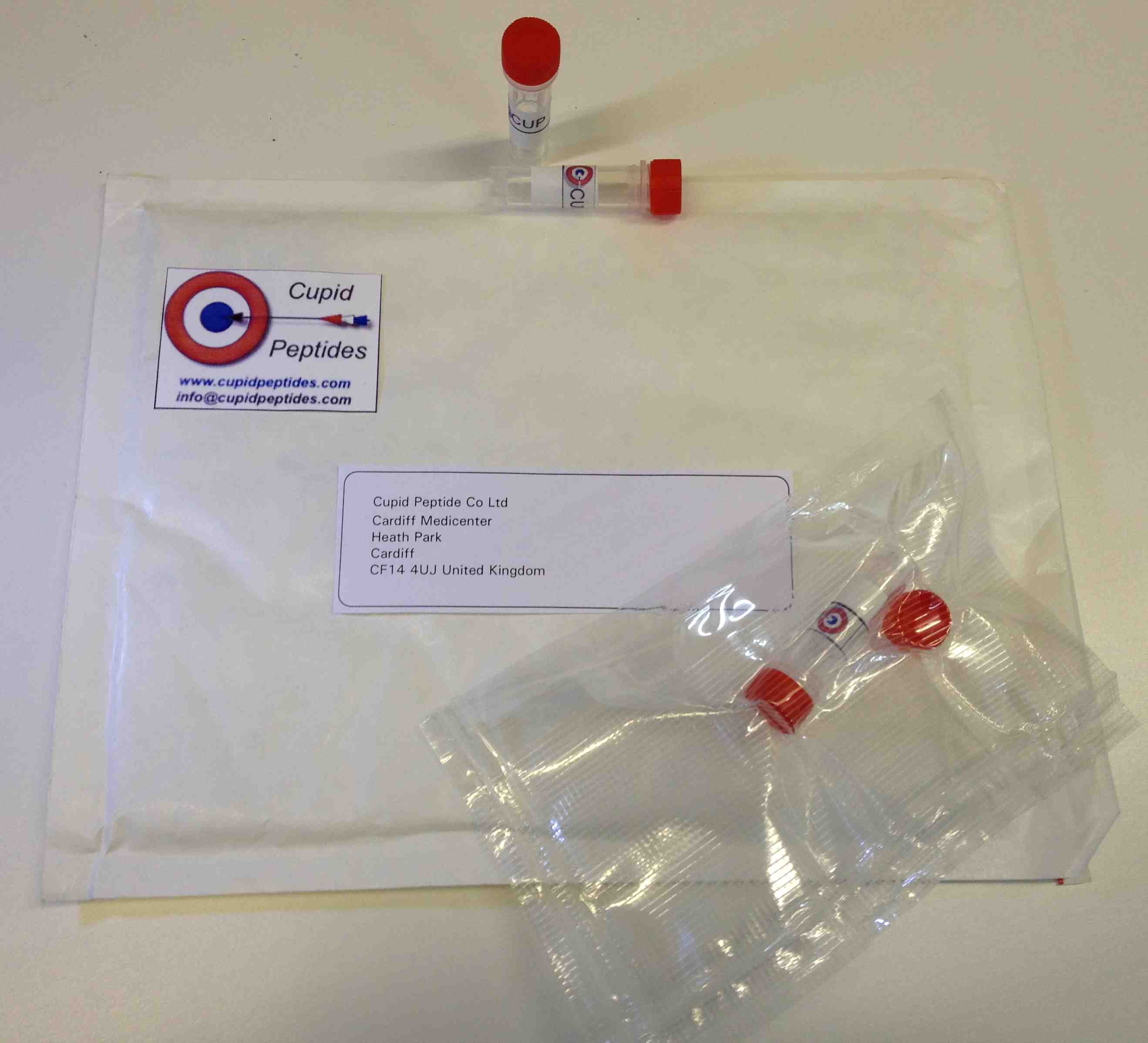 A SYNTHESIZED PEPTIDE. IT IS A NON-TOXIC POLY-AMINO ACID CHAIN THAT IS PART OF A NATURALLY OCCURRING PROTEIN. IT IS TESTED BY SUBJECTING A SAMPLE TO GEL ELECTROPHORESIS (SDS-PAGE) FOLLOWED BY STAINING THE GEL FOR PROTEIN TO REVEAL A MAJOR PEPTIDE BAND. RESEARCH ON THE PRODUCT IS UNDERTAKEN IN LABORATORIES BY QUALIFIED PERSONNEL TO EXPLORE PROTEIN TO PROTEIN INTERACTIONS. IT IS IN POWDER FORM IN 1 MILLIGRAM UNITS. IT IS CONTAINED IN A 1.5 ML TUBE DURING SHIPPING