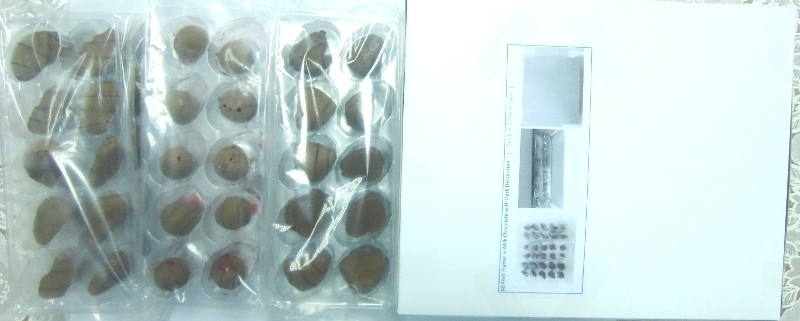 A 510G CHOCOLATE FRUIT PLATTER. CONSISTING OF 20 FROZEN ORANGES COATED WITH MILK CHOCOLATE AND DARK CHOCOLATE DECORATION. 20 FROZEN STRAWBERRY HALVES COATED WITH MILK CHOCOLATE AND DARK CHOCOLATE DECORATION. 20 FROZEN CHERRIES COATED WITH MILK CHOCOLATE AND DARK CHOCOLATE DECORATION. INTENDED TO BE CONSUMED IN A FROZEN OR SEMI-FROZEN STATE.