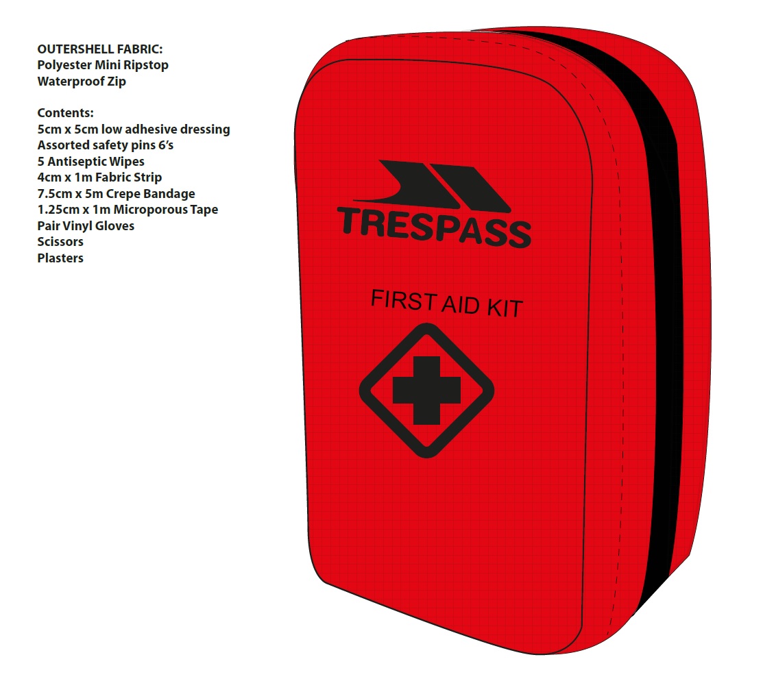 A MINI FIRST AID KIT WITH ADHESIVE DRESSING, SIX PLASTERS, SAFETY PINS, FIVE ANTISEPTIC WIPES, FABRIC STRIP, BANDAGE, MICROPOROUS TAPE, VINYL GLOVES, AND SCISSORS. IN A RED CONTAINER WITH A BLACK CROSS ON IT.