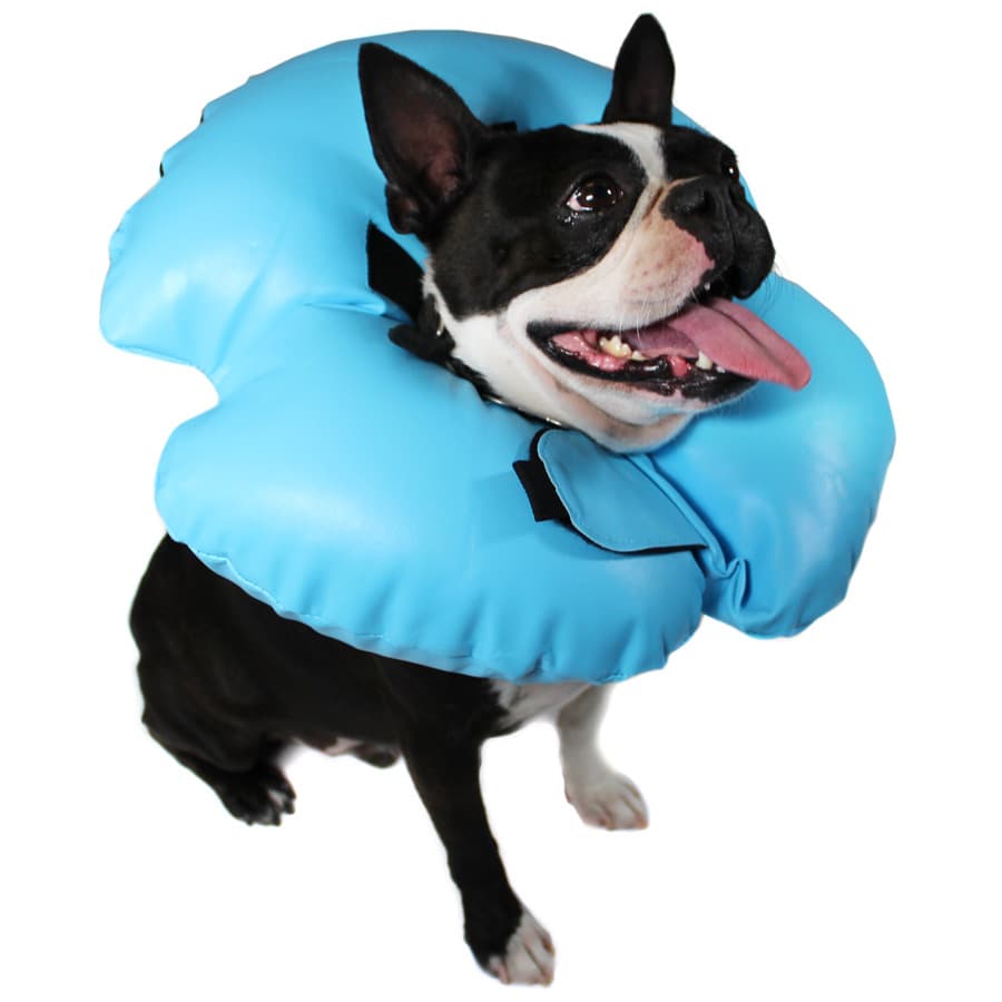 AN INFLATABLE MEDICAL RECOVERY COLLAR FOR USE IN THE VETERINARY INDUSTRY. THE COLLARS ARE NORMALLY SUPPLIED TO THE CUSTOMER VIA THE VETERINARY HOSPITAL POST SURGERY.