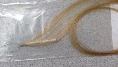 LOOSE HUMAN HAIR BUNDLES THAT HAVE BEEN DRESSED AND PREPARED. THE HAIR IS  DRESSED, SO THE ROOT ENDS HAVE BEEN ORGANISED AND ARRANGED SO THEY ARE RESPECTIVELY TOGETHER. THEY ARE MULTIPLE HAIR STRANDS THAT ARE UNFINISHED UNTIL APPLIED TO THE PERSONS HAIR. THEY ARE APPLIED USING A LOOPED LINK SYSTEM, SPECIALIST LINK BEAD AND SPECIFIC TOOL FOR CRIMPING THE BEAD TIGHTLY FOR ATTACHMENT TO EXISTING HAIR ON THE PERSONS HEAD. THE HAIR BUNDLES ARE MADE OF 100% HUMAN HAIR.