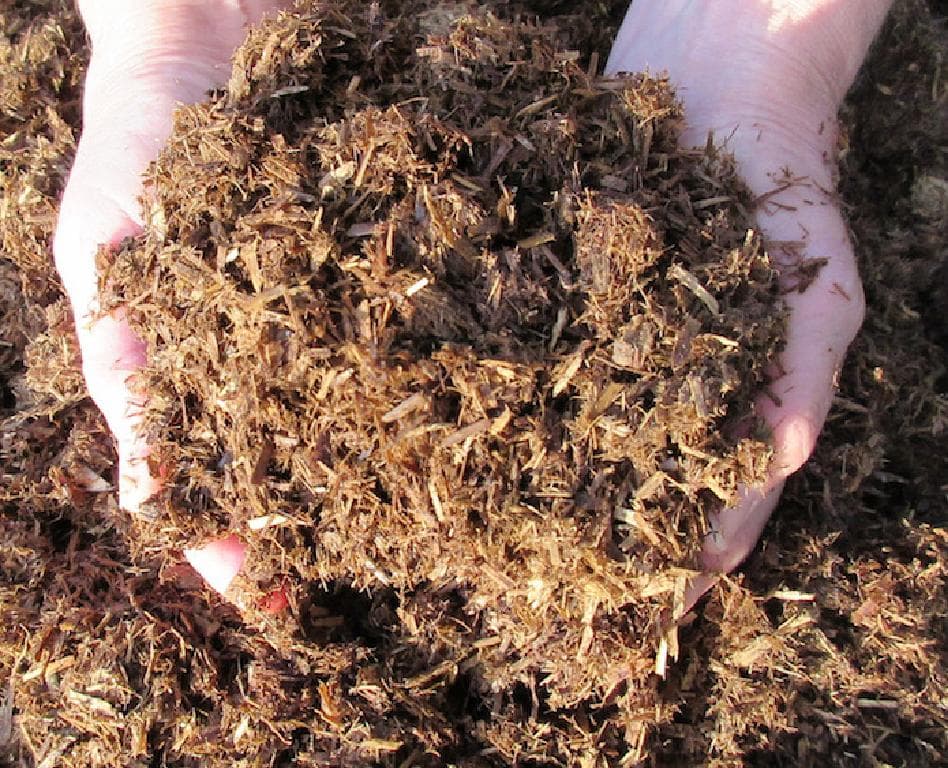 A SOIL ENRICHER MADE FROM BY-PRODUCTS OF MAIZE AND RYE. THE CEREALS ARE USED AS FEEDSTOCKS TO BE DIGESTED BY AN ANAEROBIC DIGESTER. THE BIOGAS IS REMOVED LEAVING DRY AND LIQUID FRACTIONS. THE DRY FRACTION IS PUT IN 70 LITRE BAGS FOR USE AS A SOIL ENRICHER. THE STARCH CONTENT DOES NOT EXCEED 28% AND THE PROPORTION THAT PASSES THROUGH A SIEVE WITH AN APERTURE OF 0.2 MM DOES NOT EXCEED 10% BY WEIGHT