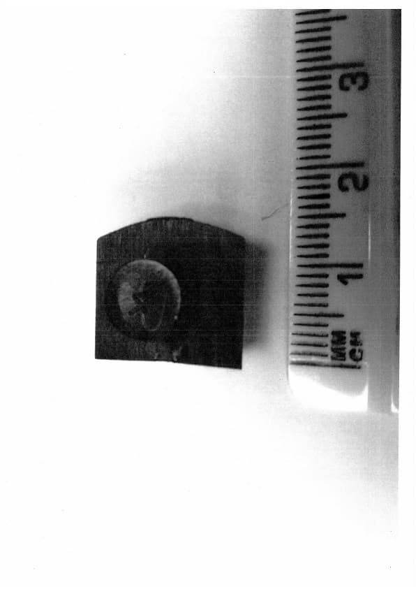 ROTATOR SPRING GUIDE. THE PART IS MADE FROM NYLON 66 AND IS MADE VIA INJECTION MOULDING, APPROXIMATELY 15MM X 15MM. BLACK IN COLOUR. A VALVE ROTATOR ROTATES THE POPPET VALVE (TYPICALLY ON AN INTERNAL COMBUSTION ENGINE (IC) BY AN INCREMENTAL AMOUNT DURING ITS OPENING EVENT.
IT IS ASSEMBLED INTO THE BALL AND POCKET ON A VALVE ROTATOR. THE SPRING GUIDE PROVIDES A GOOD SEAT FOR THE BALL SPRINGS INSIDE THE VALVE ROTATOR.
VALVE ROTATORS ARE USED IN COMMERCIAL DIESEL ENGINES.