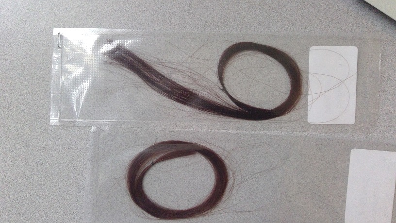 HAIR EXTENSIONS MADE OF 100% HUMAN HAIR. PREPARED ARTICLES OF HUMAN HAIR PROCESSED TO VARIOUS SPECIFIC COLOURS AND LENGTHS. THE EXTENSIONS ARE LOOSE HAIR BUNDLES WHICH ARE UNFINISHED UNTIL APPLIED TO THE PERSONS HAIR. ATTACHED BY USING A HOT GLUE GUN.