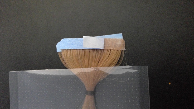 HAIR EXTENSIONS MADE OF 100% HUMAN HAIR WITH TAPE ATTACHMENT. PREPARED ARTICLES OF HUMAN HAIR PROCESSED TO VARIOUS SPECIFIC COLOURS AND LENGTHS. THE EXTENSIONS ARE LOOSE HAIR SEWN INTO WEFT PIECES WHICH ARE UNFINISHED UNTIL APPLIED TO THE CUSTOMERS HAIR.