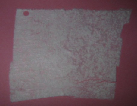 NON WOVEN FABRIC COMPOSED OF POLYESTER FIBRES WEIGHING APPROX 127 GRAMS M2 THE FABRIC LAYERS ARE BONDED TOGETHER WITH A SPECIAL POLYOLEFIN ADHESIVE; THE POLYMER IS IMBEDDED BETWEEN THE LAYERS OF FABRIC; WILL BE PRESENTED AS ROLLS MEASURING 120 MM WIDE AND A DIAMETER OF 550 – 750 MM.