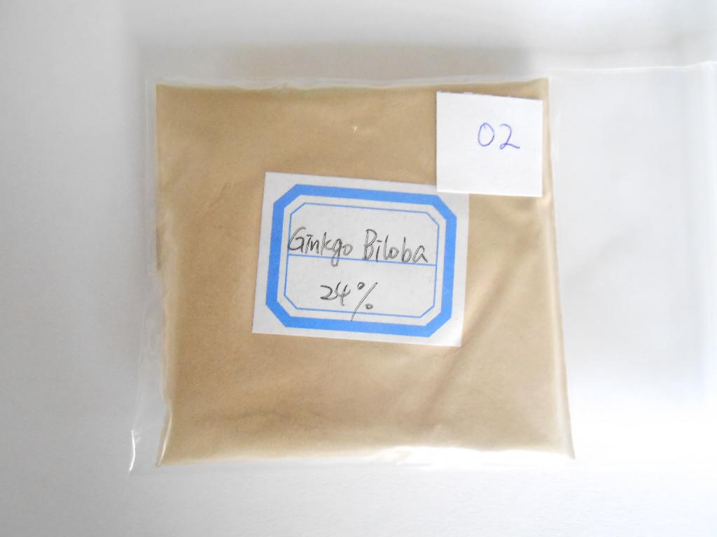 GINKGO BILOBA.
