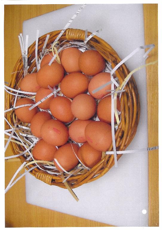 FRESH BIRDS EGGS.
INTENDED FOR HUMAN CONSUMPTION
SPECIES GALLUS DOMESTICUS
