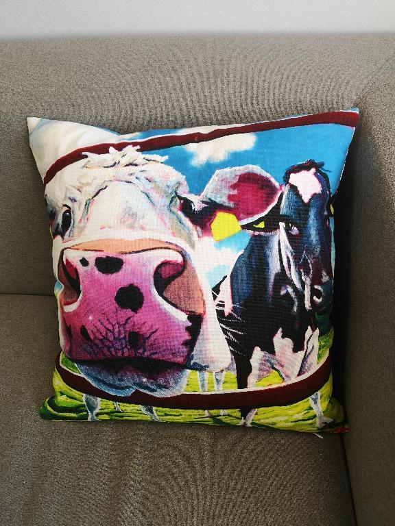 Cushion of cotton fabric, both sides with digital printing and with zipper.  Filling is feather 850g