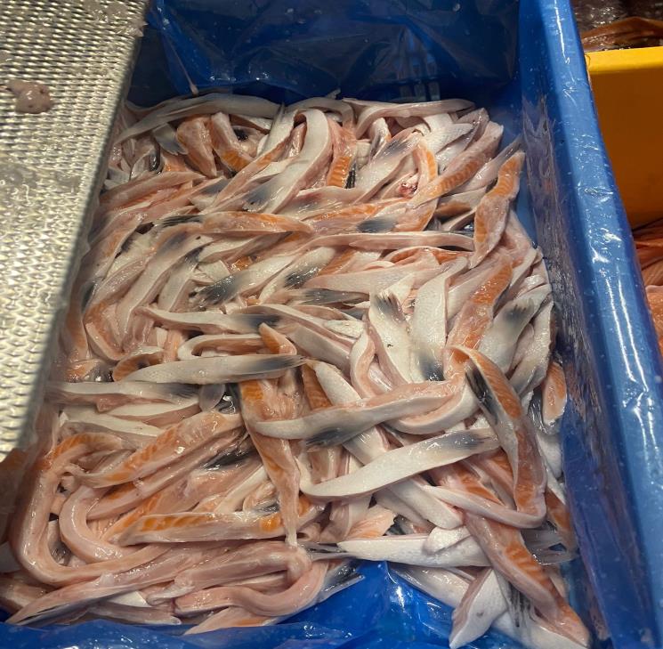 Frozen Atlantic salmon waste
The product is edible fish offal, fit for human consumption
The product includes back trimmings, belly flaps, heads, skins, tails and trimmings
Waste from salmon farmed in Scotland/Norway/Ireland

Frozen in 10kg and 20kg blocks