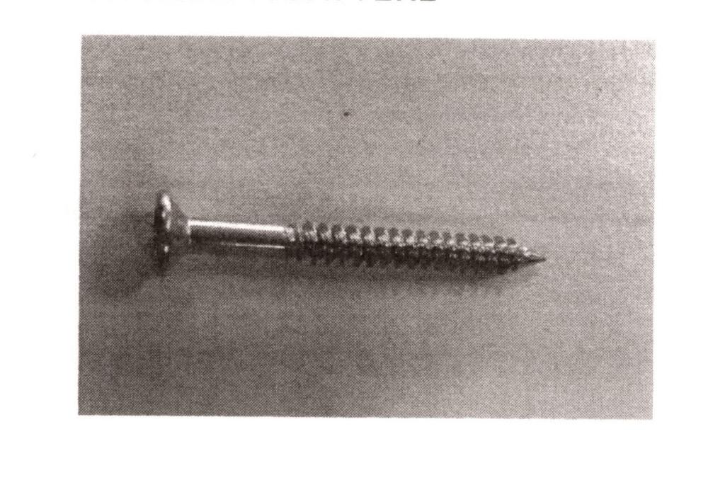 VITE PER TASSELLO A BATTERE. 
L'ARTICOLO E' REALIZZATO IN ACCIAIO ZINCATO BIANCO CON FILETTATURA ELICOIDALE (DETTA "A DENTE DI LUPO"), LIMITATA ALLO STELO,  E PUNTA AD OGIVA. LA TESTA E' SOLCATA A CROCE PER PERMETTERE DI COMPLETARE L'INSERIMENTO DELLA VITE CON L'AUSILIO DI UN CACCIAVITE. L'ARTICOLO E' NORMALMENTE UTILIZZATO CON UN TASSELLO  DA INSERIRE NEL MURO DOPO AVER PRATICATO IL FORO. LA VITE, UNA VOLTA FISSATA NEL MURO, PUO' ESSERE SUCCESSIVAMENTE ESTRATTA SENZA CREARE DANNI. MISURE: DIAMETRO 3,5 MM (O IN ALTERNATIVA 3,95 MM). LUNGHEZZE VARIE: CM 2,8 - CM 3,0 - CM 3,2 - CM 3,8 - CM 4,8 - CM 5,8.
IL TASSELLO NON FA PARTE DELLA PRESENTE ITV.