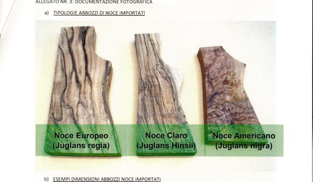 ABBOZZI (TAVOLE DI LEGNO PRETAGLIATE) DI LEGNO DI NOCE ESSENZE EUROPEO (JUGLANS REGIA), CLARO (JUGLANS HINSII), AMERICANO (JUGLANS NIGRA).
IL LEGNO E' PER DICHIARAZIONE DI PARTE, UTILIZZATO PER LA FABBRICAZIONE DI CALCIATURE PER FUCILI SEMIAUTOMATICI E SOVRAPPOSTI, CARABINE, ASTE, IMPUGNATURE ED ALTRI PARTICOLARI.
IL LEGNO E' SEGATO, PIALLATO, MA NON LEVIGATO, SIGILLATO SU DUE LATI CON DELLA CERA PER IMPEDIRE L'INFILTRAZIONE DELL'UMIDITA'.
LE TAVOLE DI LEGNO HANNO DIMENSIONI MEDIE COMPRESE TRA 300MM(LUNGHEZZA) x 35MM(PROFONDITA') x 60MM(SPESSORE) E lOOOMM (LUNGHEZZA)x 6OMM (PROFONDITA') x 75MM(SPESSORE).