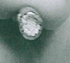 TREFOLO DI 19 FILI DI ACCIAIO NON LEGATO CHE SI AVVOLGONO ELICOIDALMENTE. IL TREFOLO E' ZINCATO ED E' RIVESTITO DI UNA GUAINA DI POLIAMMIDE DI COLORE NERO. LA SEZIONE MASSIMA DEL TREFOLO E' DI 3,6 MM ESCLUSO IL RIVESTIMENTO. LA MERCE SI PRESENTA IN BOBINE