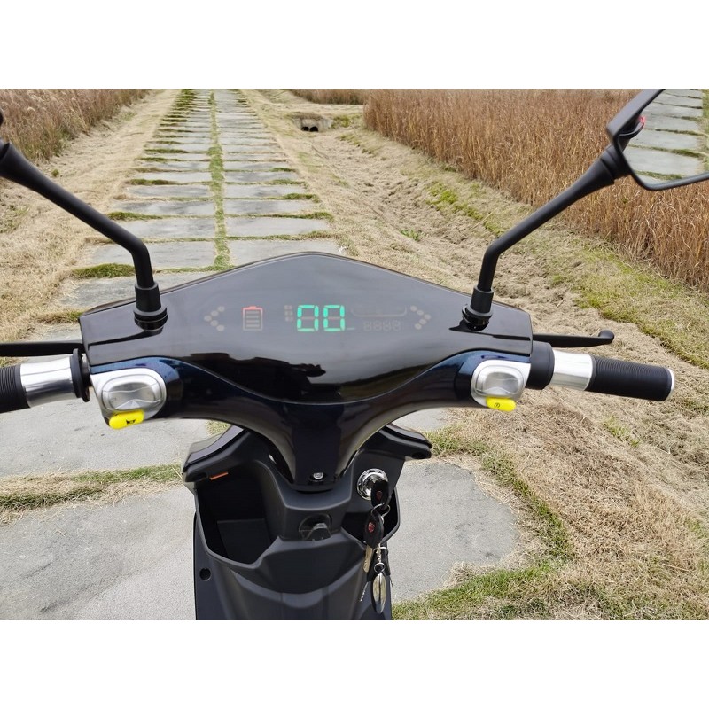 SCOOTER CON MOTORE ELETTRICO. L’ARTICOLO, PER DICHIARAZIONE DI PARTE, E’ DOTATO DI UN MOTORE ELETTRICO CON POTENZA DI 500 WATT  CON SISTEMA DI TRASMISSIONE A PEDALI D'EMERGENZA.
L'ARTICOLO PRESENTA: UN SISTEMA D'ACCENSIONE A CHIAVE; GLI INDICATORI DI VELOCITÀ, DIREZIONE, INDICAZIONE DELLO STATO DI CARICA; UN SISTEMA DI ACCELERAZIONE A MANOPOLA; LUCI DI POSIZIONE, ABBAGLIANTI ED ANABBAGLIANTI.
LO SCOOTER INOLTRE POSSIEDE, COME SISTEMA D'EMERGENZA, LA POSSIBILITÀ DELLA TRASMISSIONE DEL MOTO TRAMITE PEDALI, DA INSTALLARSI AL MOMENTO (IL MOTORE ELETTRICO FUNGE DA TRASMISSIONE PRINCIPALE MENTRE LA PEDALATA RESTA SOLAMENTE COME EMERGENZA). 
L'ARTICOLO NON È UN GIOCATTOLO E NON È OMOLOGATO PER LA CIRCOLAZIONE STRADALE, PUÒ ESSERE UTILIZZATO SOLO IN AMBITO PRIVATO.