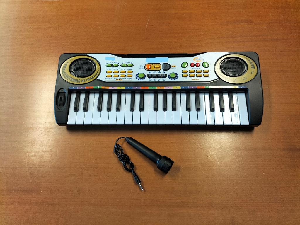 Tastiere musicali a 37 tasti, in plastica, con suono adatto al divertimento dei bambini.
Si presentano in diverse dimensioni e colori.

Caratteristiche:
audio a basso volume, regolabile;
tasti piccoli adatti alle dita dei bambini;
basi preregistrate;
alcune referenze sono dotate di ingresso audio per ascoltare il suono di una sorgente esterna (smartphone, lettore MP3 ecc.);
alcune referenze sono dotate di microfono;
alimentazione elettrica a batterie o alimentatore esterno (entrambi non forniti).