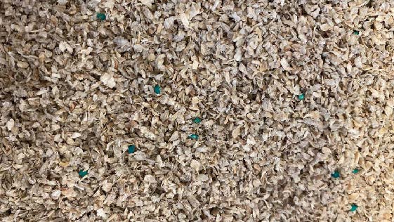 Piccole scaglie di legno, non agglomerate, dalla forma irregolare e dimensioni variabili di lunghezza da 1 a 6 mm. Il prodotto è ottenuto dal trattamento di residui di legno, è confezionato per la vendita in sacchi di carta ed è destinato ad essere utilizzato come lettiera per gatti.