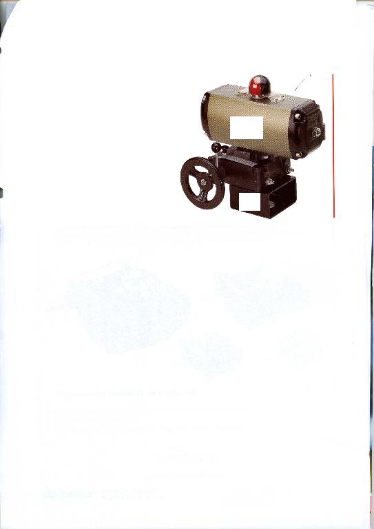SISTEMA ASSEMBLATO COMPOSTO DA RIDUTTORE MANUALE, ATTUATORE PNEUMATICO, BOX MICROSWITCH:
1)	RIDUTTORE MANUALE DISISNSERIBILE  A VOLANTINO, UTILIZZATO PER FAR FUNZIONARE MANUALMENTE  UN ATTUATORE PNEUMATICO. L’ARTICOLO HA CORPO ANODIZZATO E LE SEGUENTI DIMENSIONI: LARGHEZZA DA 130 MM A 418 MM, PROFONDITA’ (VOLANTINO COMPRESO) DA 185 MM A 498MM, ALTEZZA DA 107 MM A 184 MM  E VOLANTINO DEL DIAMETRO DA 75 MM A 800 MM;
2)	L’ATTUATORE  E’ DOTATO DI FLANGIATURE PER L’ASSEMBLAGGIO CON LA VALVOLA E CON GLI ACCESSORI DI CONTROLLO. LE DIMENSIONI VARIANO A SECONDA DEL MODELLO: LUNGHEZZA DA 170 MM A 620 MM LARGHEZZA DA 69 MM A 228 MM, ALTEZZA (ESCLUSO PIGNONE) DA 65 MM A 238,5 MM.L’ARTICOLO HA IL CORPO IN ALLUMINIO OSSIDATO DURO E VITERIA INOX.
3)	IL BOX MICROSWITCH CONSISTE IN UNA PICCOLA SCATOLA DI ALLUMINIO E PUO’ ESSERE IN DIFFERENTI TIPOLOGIE:  CON INDICATORE IN DUE COLORI, CON DISCO DI ALLUMINIO ROTANTE, CON FRECCE STAMPATE, CON COPERCHIO IN ALLUMINIO.
4)	ACCESSORI: DISPOSITIVO BYPASS E PIASTRA CON ATTACCHI FILETTATI DA ¼”.
IL SISTEMA VIENE PRESENTATO COMPLETAMENTE ASSEMBLATO.