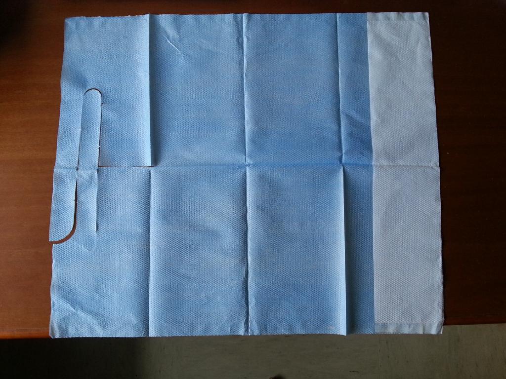 ARTICOLO DESTINATO AD ESSERE UTILIZZATO SU PAZIENTI NON AUTOSUFFICIENTI DURANTE LA SOMMINISTRAZIONE DEI PASTI. 
ESSO E’ COSTITUITO DA DUE STRATI ACCOPPIATI DI CELLULOSA  DI COLORE BIANCO  E FILM  PLASTICO DI COLORE AZZURRO; INOLTRE PRESENTA SUL FONDO DEL LATO LUNGO UNA TASCA ED HA DIMENSIONI PARI A  59 X 50 CM.
L’ARTICOLO NON E’ RIVESTITO DI SOSTANZE FARMACEUTICHE E NON E’ CONDIZIONATO PER LA VENDITA AL MINUTO. 
VIENE COMMERCIALIZZATO IN CONFEZIONI DI CARTONE CONTENENTI 10 BUSTE DA 100 PEZZI.