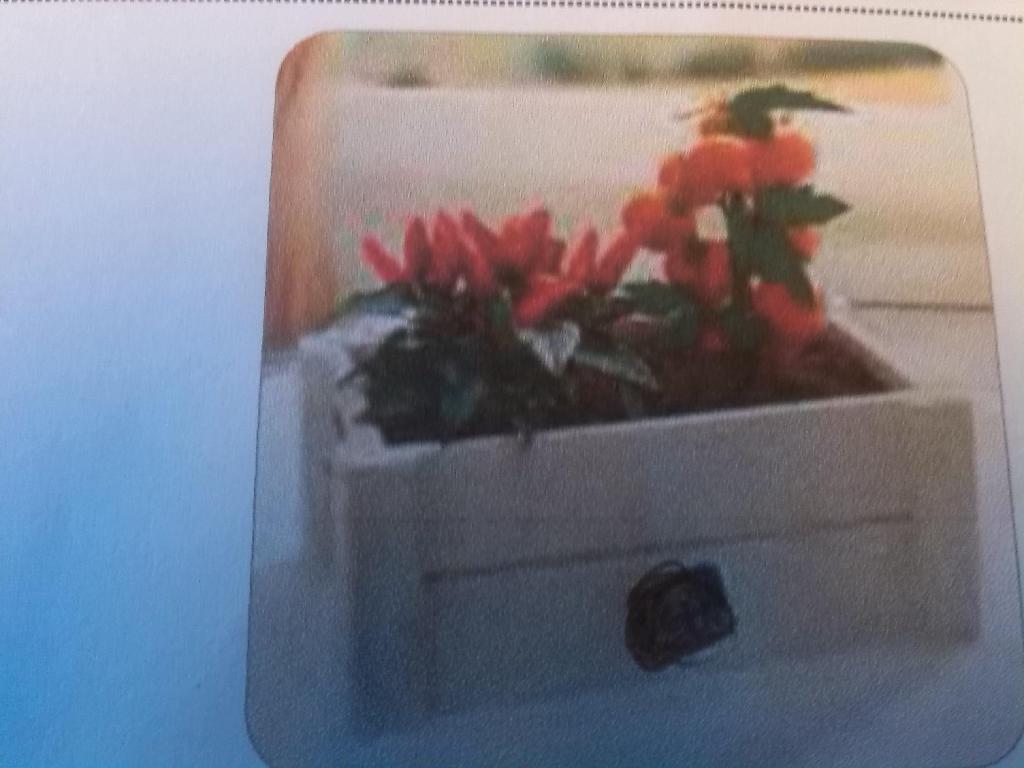 ASSORTIMENTO COSTITUITO, PER DICHIARAZIONE DI PARTE, DA CASSETTA IN LEGNO DI 26 x 16 x 11 CM CONTENENTE UNA CONFEZIONE DI SEMI DI PEPERONCINO E POMODORINI, UNA BUSTA DI NYLON CONTENENTE TERRICCIO COMPATTO IN FIBRA DI COCCO E LE ISTRUZIONI PER UN CORRETTO UTILIZZO.
IL CARATTERE ESSENZIALE DELL’ASSORTIMENTO E’ DATO DAI SEMI.