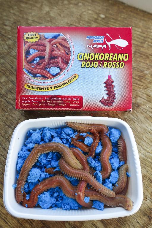 VERMI  VIVI  DEL TIPO DENOMINATO CINO-KOREANO ROSSO,  DESTINATI AD ESSERE UTILIZZATI COME ESCHE NELLA PESCA.
IL PRODOTTO NON E’ PRESENTATO IN CONFEZIONI  DESTINATE DIRETTAMENTE ALLA VENDITA AL DETTAGLIO E NON E’ IDONEO ALL’ALIMENTAZIONE UMANA.
