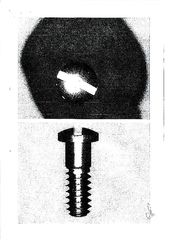 VITE METRICA DI ACCIAIO INOSSIDABILE CON TESTA A CACCIAVITE.
L'ARTICOLO HA LE SEGUENTI DIMENSIONI: 5.3 MM X 2.5 MM.