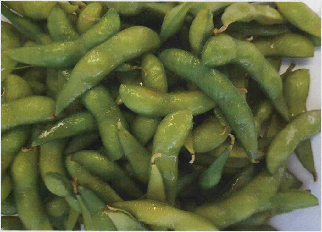 Sojabonen met -volgens opgave- de volgende kenmerken en ingrediënten:
- in de verschijningsvorm van langwerpige groene plantendelen;
- bevroren;
- geblancheerd;
- zout.
De sojabonen zijn opgemaakt voor de verkoop in het klein en zijn verpakt in een doorzichtige verpakking met een nettogewicht van 500 gram.