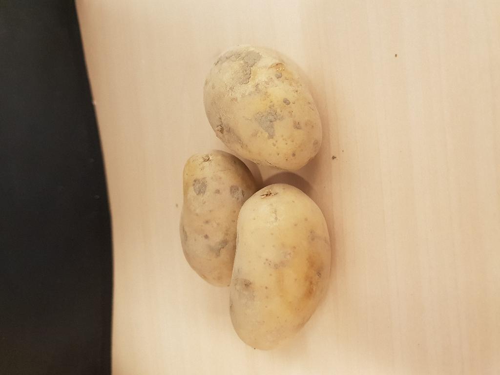 Aardappelen met -volgens opgave- onder andere de volgende kenmerken:
- bestemd voor gebruik als vroege consumptieaardappelen;
- van de soort Monique;
- in de vorm van lange ovale knollen;
- vers;
- vastkokend;
- geen verkleuring na het koken;
- een gladde schil;
- ondiepe ogen;
- een heldere, gele kleur.
Aangeboden in bulkzakken met een inhoud van ongeveer 1350 kg nettogewicht.