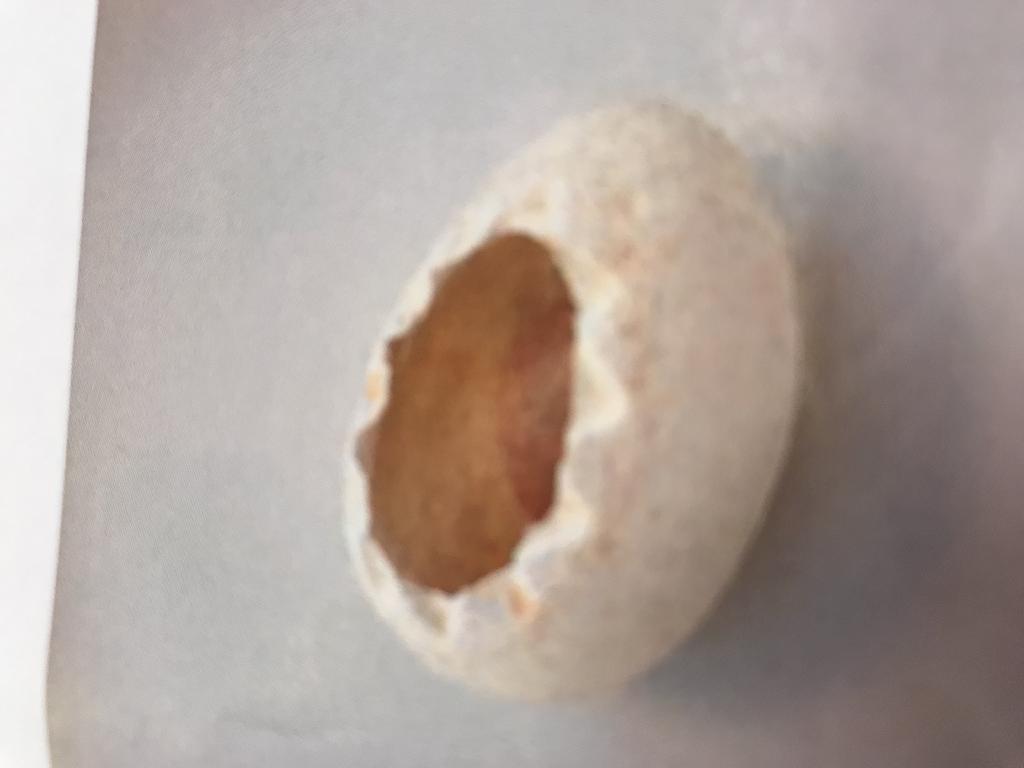Een pot in de vorm van een ei met -volgens opgave- onder andere de volgende technische en uiterlijke kenmerken:
- in een ovale vorm;
- een beige scherf;
- niet doorschijnend;
- dient als een versieringsvoorwerp;
- vervaardigd van gewoon aardewerk;
- niet gesinterd;
- de scherf kleeft aan de tong;
- afmetingen van ongeveer 18 x 13 x 11 cm.
