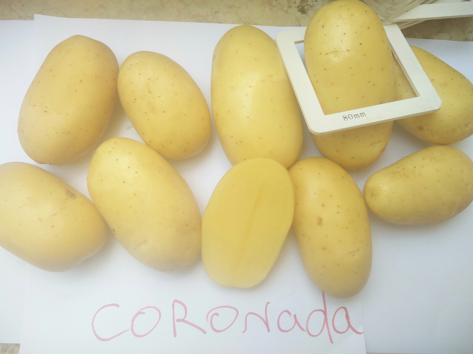 Aardappelen met -volgens opgave- onder andere de volgende kenmerken:
- bestemd voor menselijke consumptie;
- vers;	
- vrij stevig;
- lang-ovaal/ovaal van vorm;
- een gladde, glanzende, gele schil;
- ondiepe ogen;
- een gele vleeskleur;
- middelgrote tot grote knollen.
Aangeboden in bulk, in bigbags van 1250 tot 1350 kg.