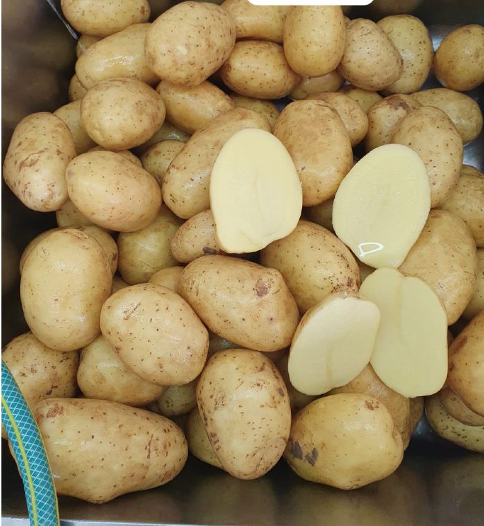 Aardappelen met –volgens opgave– onder andere de volgende kenmerken en eigenschappen:
- voor menselijke consumptie;
- vers;
- bloemig kokend;
- rondovaal;
- een gele schil met ondiepe pitten (oppervlakkige ogen).
De aardappelen worden ongewassen aangeboden, in big bags met een gewicht variërend van ongeveer 1250 tot 1350 kg.