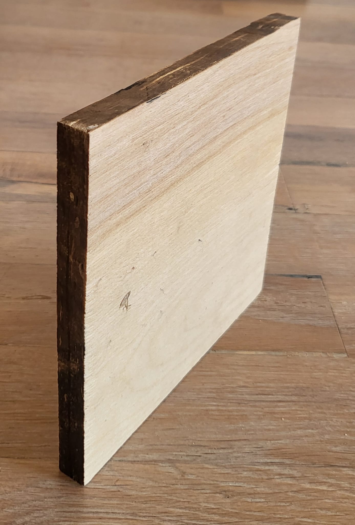 Een zogenoemd graspaneel met -volgens opgave- onder andere de volgende kenmerken:
- voor bouw- en interieurtoepassingen;
- de buitenste lagen bestaan uit met fineer bekleed espenhout met een dikte van 1 mm;
- een middelste laag bestaande uit met fineer bekleed espenhout, met een dikte van 1 mm, met aan beide zijden tussenlagen samengeperst gras;
- een dichtheid van 0,9 gram/cm³;
- afmetingen van 1.830 mm x 915 mm;
- een dikte van 12 of 18 mm.