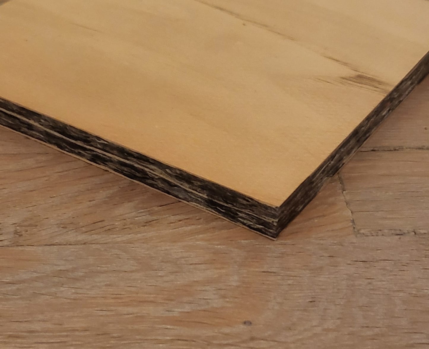 Een zogenoemd textielpaneel met -volgens opgave- onder andere de volgende kenmerken:
- voor bouw- en interieurtoepassingen;
- de buitenste lagen bestaan uit met fineer bekleed espenhout met een dikte van 1 mm voorzien van een PVC coating;
- een middelste laag bestaande uit met fineer bekleed espenhout, met een dikte van 1 mm, die niet met het blote oog zichtbaar is;
- de middelste laag is aan beide zijden voorzien van tussenlagen machinaal samengeperst gemengde kleuren textielvezels vervaardigd van polyester;
- een dichtheid van 0,9 gram/cm³;
- afmetingen van 1.830 mm x 915 mm;
- een dikte van 12 of 18 mm.