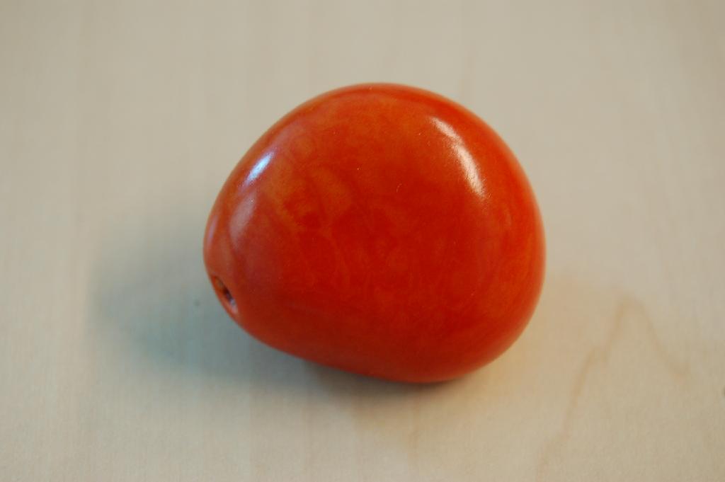 Een gedroogde noot van de tagua palm. De noot is geverfd en aan beide zijden is een gat geboord.