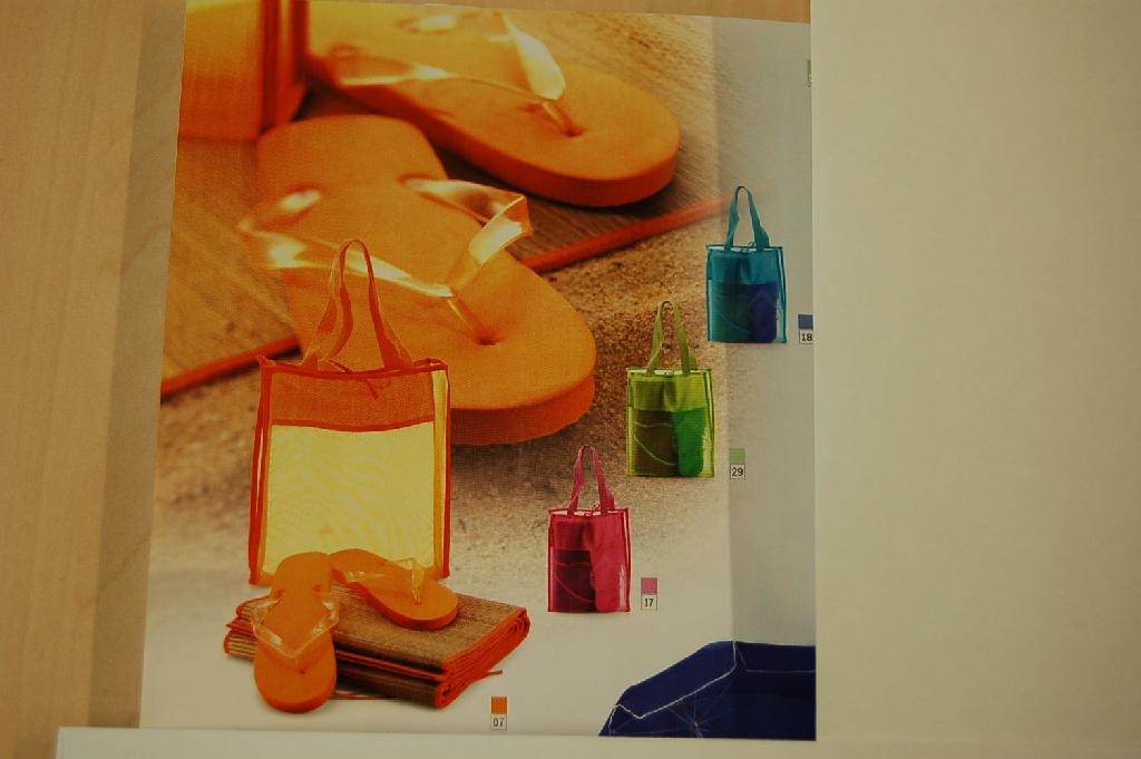 Een zogenoemde “strandmat” met onder andere de volgende (uiterlijke) kenmerken:
-een vlechtwerk van stro;
-alle randen zijn voorzien van een bies van textiel;
-voorzien van een strikje van textiel, bedoeld om de mat in zijn opgerolde positie te houden.
Het wezenlijk karakter van het geheel wordt bepaald door het vlechtwerk bedoeld in hoofdstuk 46. De mat maakt deel uit van een strandset, die is opgemaakt voor de verkoop in het klein en wordt tezamen aangeboden met een strandtas en teenslippers, waarvoor separaat BTI's zijn afgegeven met de kenmerken NL-RTD-2008-001297 en NL-RTD-2008-001298.