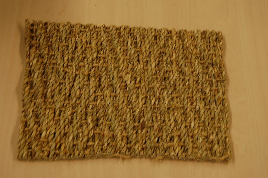 Een tapijt van vlechtstoffen met onder meer de volgende kenmerken:
- van 100% gedroogd zeegras;
- een bovenkant van banen diagonaal naast elkaar getwijnde v lechtstoffen;
- bijeengehouden door een getwijnde dwarsbinding;
- met decoratieve effecten;
- visgraatmodel;
- gelijmd op een onderkant (rug) van latex.
Het tapijt wordt aangeboden op rollen van 4 meter breed en een lengte variërend van 25 tot 40 meter.