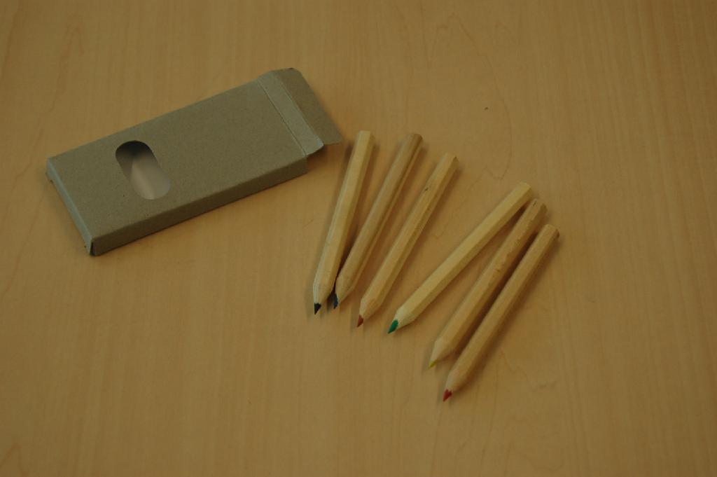 Setje van 6 kleurpotloden. De potloden hebben een lengte van ongeveer 8,5 cm en zijn verpakt in een kartonnen doosje.