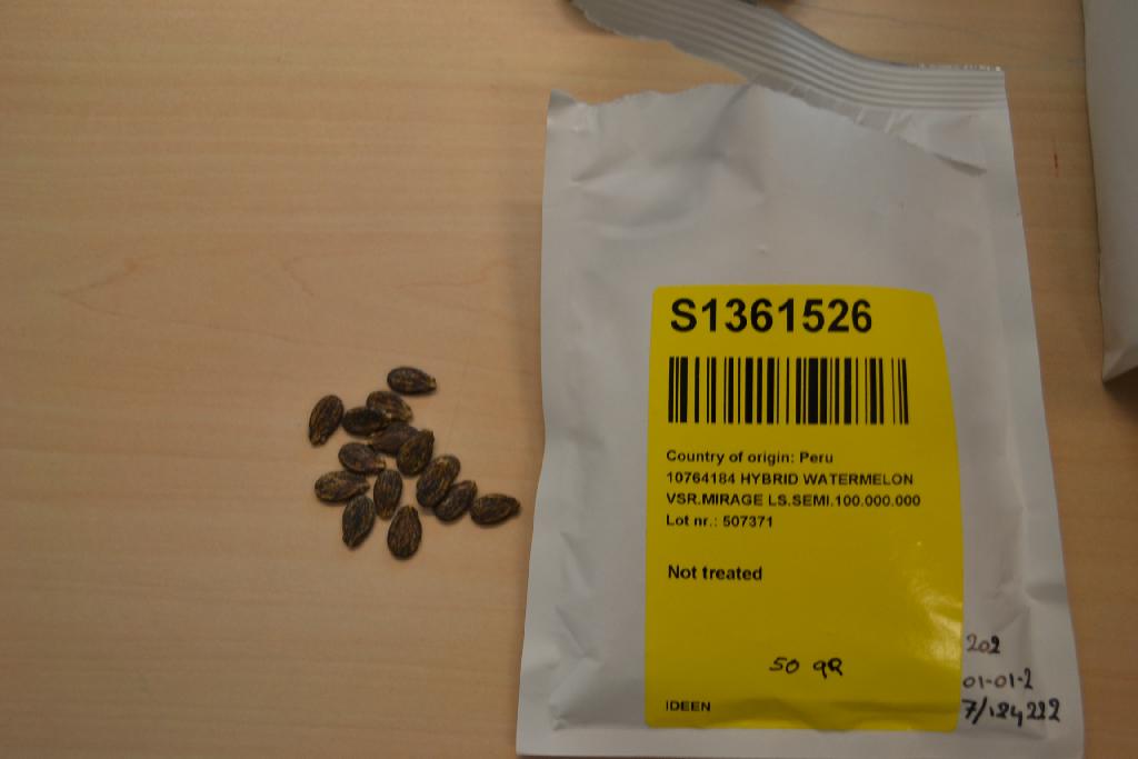 Zaden van een watermeloen (Citrullus Lanatus) voor zaaidoeleinden.