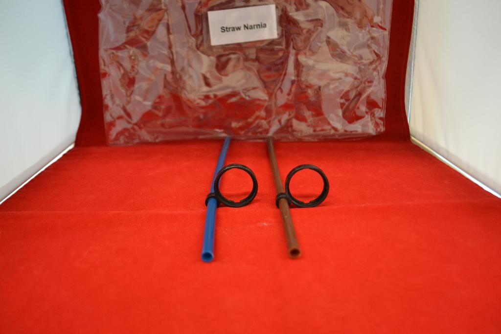 Een buis van kunststof, zijnde een rietje, met onder meer de volgende kenmerken:
- volgens opgave vervaardigd van polyethyleen;
- een niet-flexibele buis;
- naadloos;
- niet doorzichtig;
- een lengte van 28 cm;
- een diameter van 0,5 cm;
- voorzien van een niet verschuifbare ring waarin een losse topper met een figuurtje uit een film kan 
  worden geplaatst.
Het product is bestemd om gebruikt te worden bij het drinken.