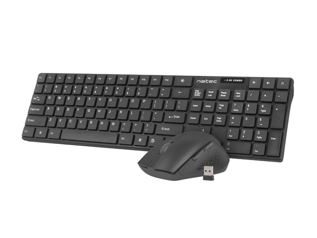 Bezprzewodowy zestaw składający się z klawiatury i myszy do połączenia z komputerem PC za pomocą nano odbiornika ze złączem USB (częstotliwość 2,4 GHz RF Technology) o zasięgu do 10 m. Klawiatura o wymiarach: 418 mm x 119 mm x 27 mm, posiada 108 klawiszy, w tym 4 multimedialne. Mysz o wymiarach: 107 mm x 69 mm x 41 mm, optyczna z sześcioma przyciskami i rolką o zmiennej rozdzielczości od 800, 1200 i 1600 DPI. Zasilanie: 1 bateria AA i 2 baterie AAA. Zestaw pakowany w jednym kartonowym opakowaniu z bateriami i instrukcją.