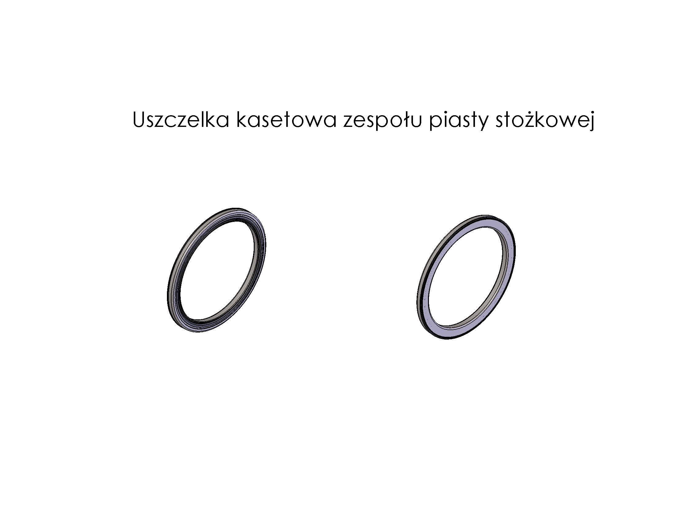 Gumowo-metalowe uszczelnienie z odrzutnikiem, wykonane poprzez połączenie ukształtowanej blachy stalowej z gumą, w procesie wulkanizacji. Wyrób ma postać pierścienia o średnicy zewnętrznej około 8,5 cm, średnicy wewnętrznej około 7 cm i wysokości około 0,5 cm. Wyrób składa się z dwóch elementów. Pierwszy element ma z jednej strony ukształtowaną część z blachy stalowej, a z drugiej strony ma ukształtowaną część gumową - zawierającą obwodowo ułożone elastyczne wargi uszczelniające. Drugi element jest ukształtowanym pierścieniem z metalu, dopasowanym kształtem i rozmiarami do umieszczenia go wewnątrz pierwszego pierścienia - od strony gumy. Wyrób przeznaczony do montażu w zespolonej, nierozbieralnej piaście stożkowej, która jest stosowana do koła jezdnego w osobowym pojeździe samochodowym. Element pełni funkcję uszczelniającą – właściwy kontakt gumowych warg z pierścieniem łożyska tocznego, zapobiega przedostawaniu się zewnętrznych zanieczyszczeń do łożyska tocznego oraz utrzymuje smar wewnątrz tego łożyska. Odrzutnik, to uzupełnienie uszczelnienia łożyska, dodatkowo chroni łożysko przed zanieczyszczeniem wykorzystując siły odśrodkowe.