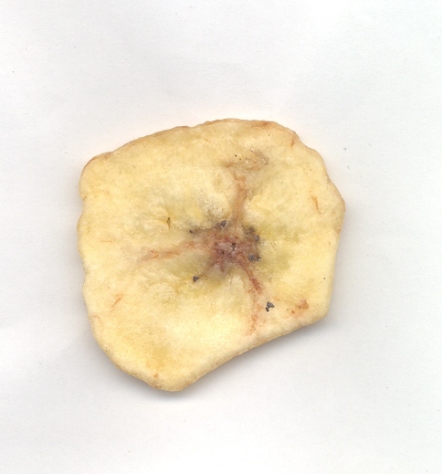 Rodelas de banana fritas, submetidas a um banho de xarope de açúcar, acondicionadas em embalagens de um peso superior a 1 kg. A mercadoria contém 0,24% de frutose, 0,24% de glucose e 13,7% de sacarose.