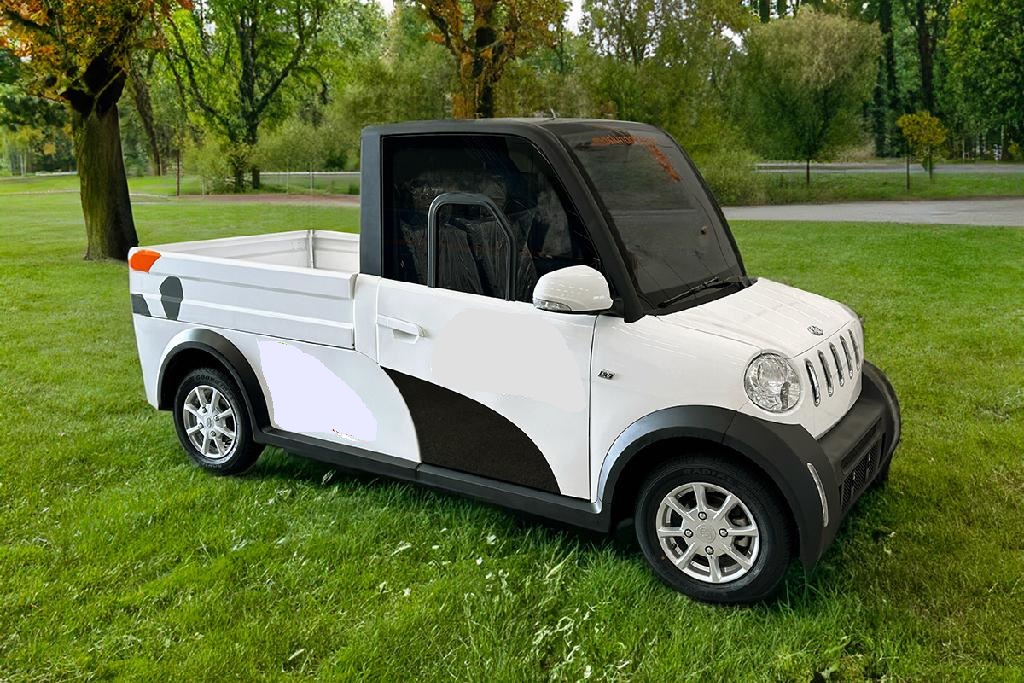 Fyrhjuligt fordon som drivs med en 7,5 kW elmotor, har en maxhastighet av 76 km/h, en svängradie av 3,22 m och en maximal räckvidd av 150 km. Fordonet har en tvådörrars sluten förarhytt med två säten och är försett med flak med måtten 134x120x29,5 cm eller med skåp med måtten 138x120x100 cm.
Fordonet är utrustat med bl.a. vindruta, panoramatak, strålkastare, kombinerad baklykta, speglar, parkeringsbroms, bromspedal, gaspedal, hydrauliska skivbromsar, laddningsuttag och en backkamera. 
Förarhytten har bl.a. värme och ventilation, displaymodul, multimediaanläggning och hastighetsmätare. 
Fordonet är konstruerat för att köras på allmän väg och har måtten 3150 x 1297 x 1685 mm (LxBxH).