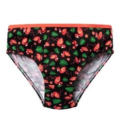 Tovarom sú dievčenské nohavičky (Girls Briefs) s farebne potlačeným veselým vzorom, ktoré sú nosené ako spodné prádlo pre dievčatá. Tovar je vyrobený z tkaniny, ktorá je zo 100 % bavlny. Tovar ma okolo pásu po obvode prišitý tenký farebný elastický pás. Tovar je dodávaný vo veľkostiach pre dievčatá vo veku 2-4 roky, 4-6 rokov, 6-8 rokov, 9-10 rokov.